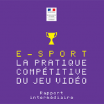 Mission parlementaire Esport, compétitions de jeux vidéo